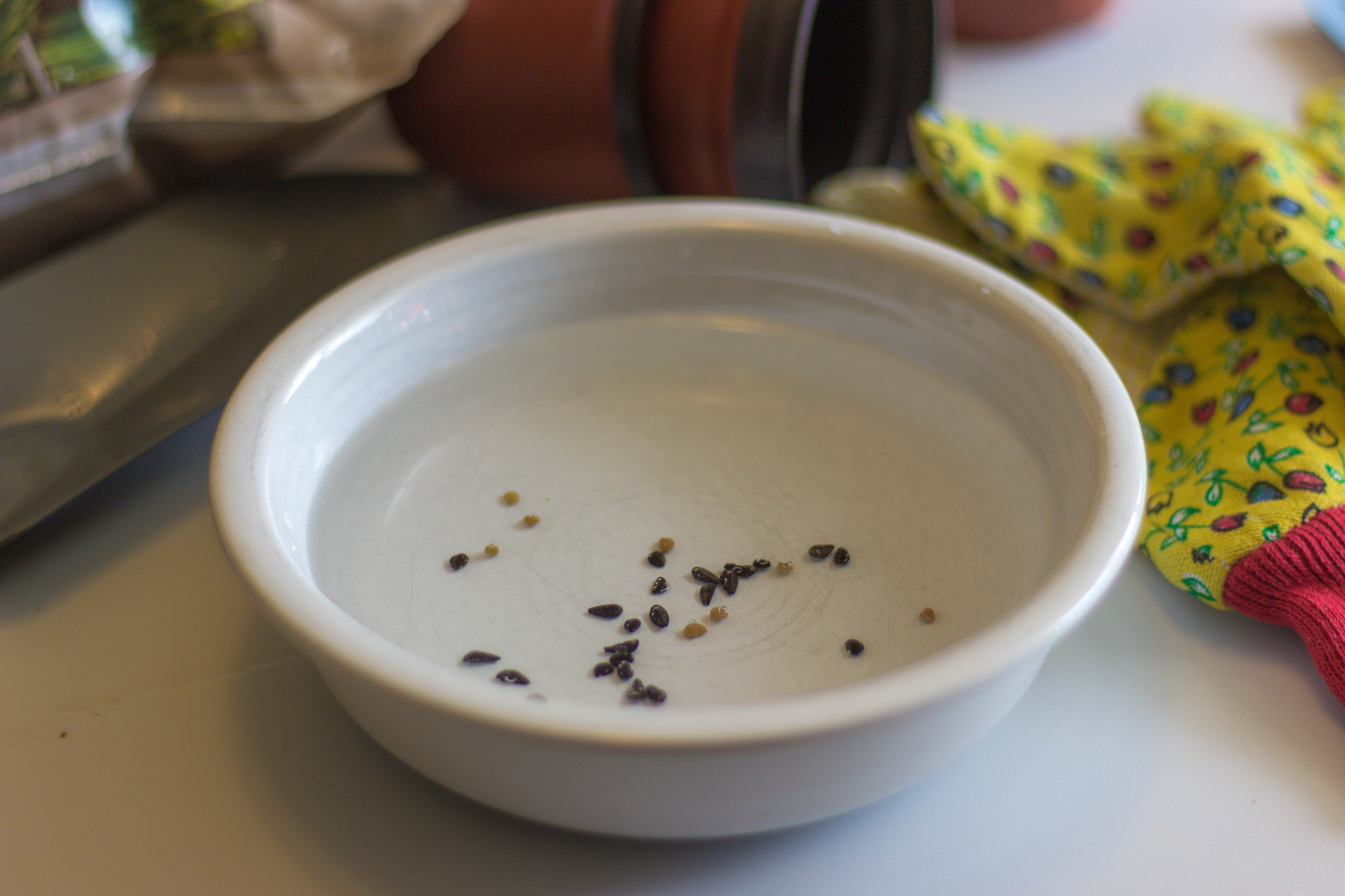 Pre-Soaking And Scarifying Seeds