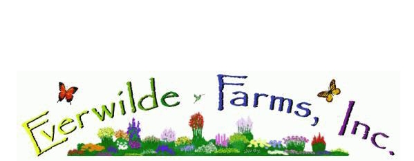Everwilde Farms, Inc.