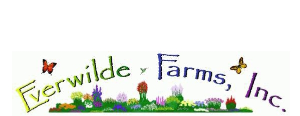 Everwilde Farms, Inc.