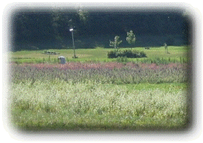 040209-journal001002.gif
