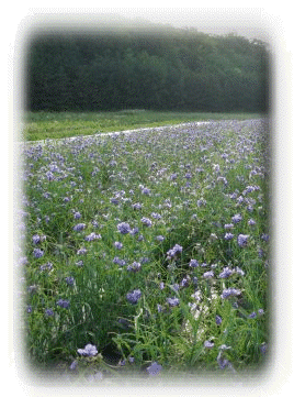 081208-home002002.gif