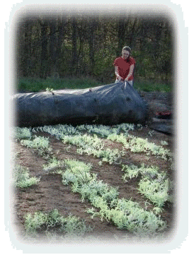 081208-home002007.gif