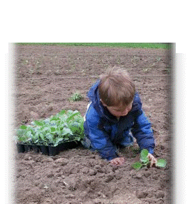 081208-home002010.gif