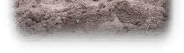 081208-home002011.gif