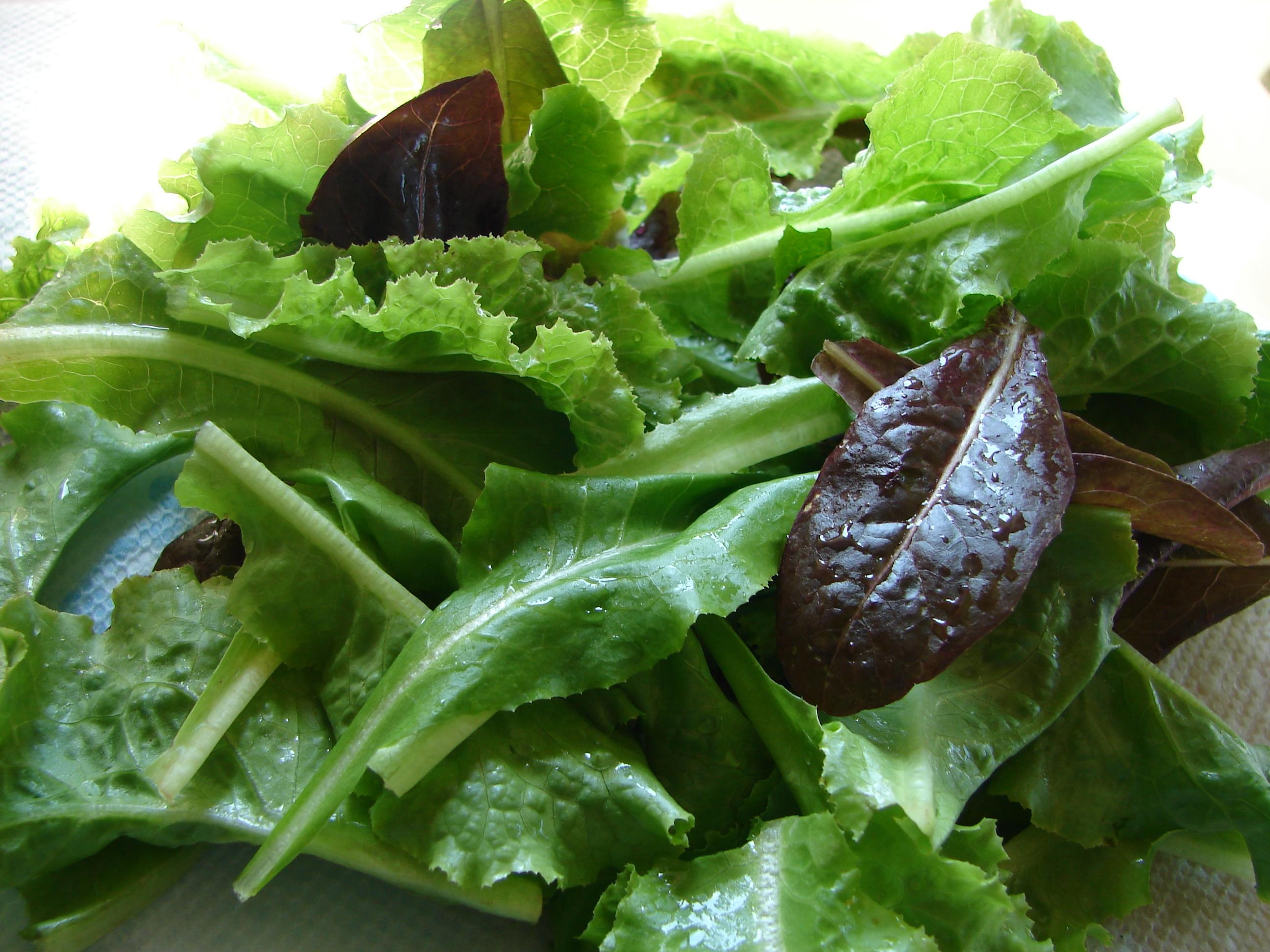 Grow Your Own Salad Mix: Lettuce and More!