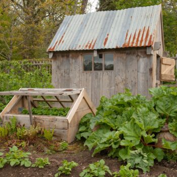 Extend your Growing & Harvest Season into Fall and Winter