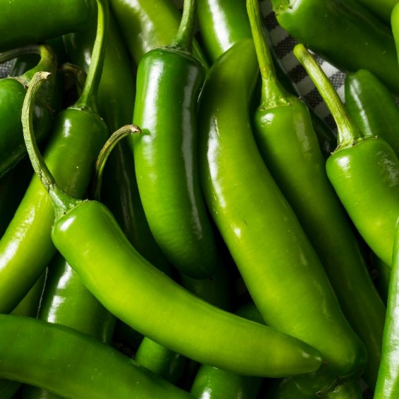 Serrano chili pepper sales