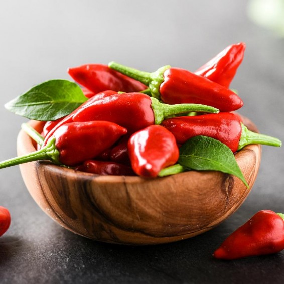 Small Red Hot Chili Pepper Seeds for Sale