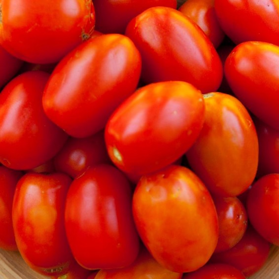 Texas Star Tomato