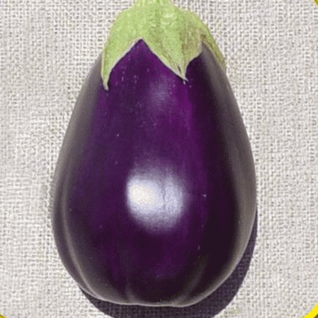 100 Black Beauty Eggplant Seeds Heirloom Seeds
