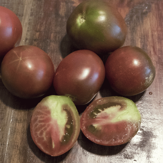 Russian seeds tomato Black Prince 