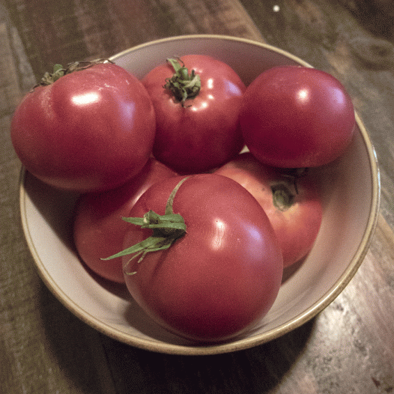 30 EVA PURPLE BALLTOMATO 2020 all non-gmo heirloom vegetable seeds! 