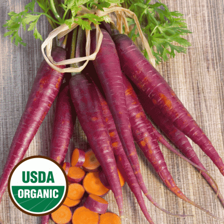 Organic Carrot Vegetable  1000 Seeds 