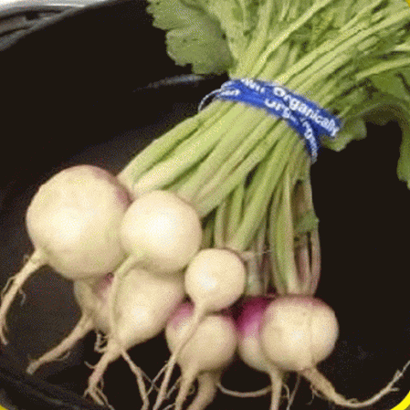 1 pound Purple Top white Globe Turnip seeds Microgreens Organic Salad Sprouts 