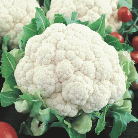 Snowball Self-Blanching Cauliflower Seeds 300 2020 Seeds   $1.69 Max Shipping 
