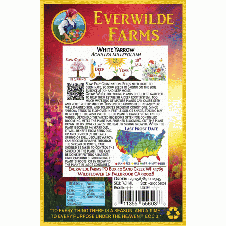 Everwilde Farms Mylar Seed Packet 2000 White Yarrow Wildflower Seeds 