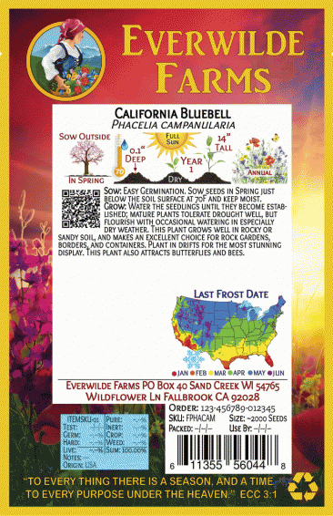 Phacelia Campanularia RARE Bee butterfly #628 CALIFORNIA BLUEBELL 2000 seeds 