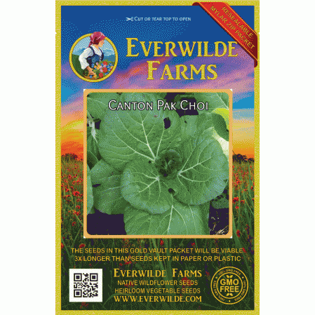 CHINESE PAK CHOI CANTON DWARF UK SOURCED NATURAL SEED 0.7 GRAM SOW BY 10/2022 SE 