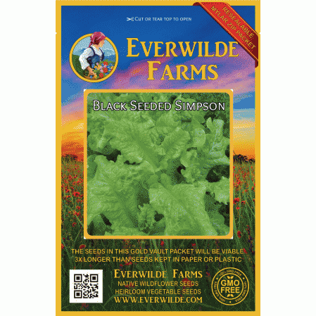 2021 Seeds  Combined Shipping 2,000 Black-Seeded Simpson Lettuce Seeds 