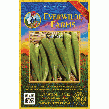Emerald Okra Spineless Heirloom Seeds 120 Nutritif et saveur non-OGM organique 