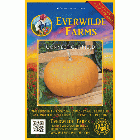 Everwilde Farms Mylar Seed Packet 20 Connecticut Field Pumpkin Pumpkin Seeds 