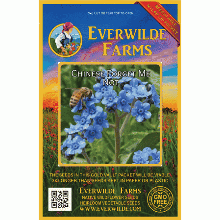 Chinese Blue 500 seeds Forget-Me-Not