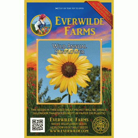 12,000 Organic Wild Native Annual Sunflower seeds helianthus annuus USA seller 