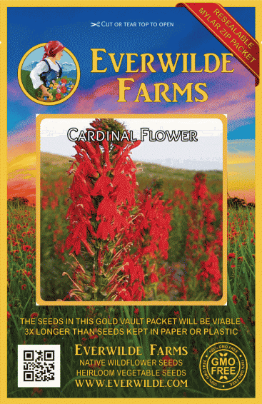 Cardinal Flower Seeds    binF11