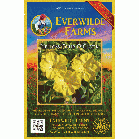 Everwilde Farms Mylar Seed Packet 50 Yellow Four O'Clock Wildflower Seeds 