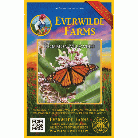 Monarch Butterfly Host w/ Free Shipping 100 Organic Common Milkweed Seeds 