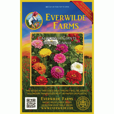 Details about   Zinnia Giant Flower Seeds Packet 1 GRAM purple red pink white yellow purple mix