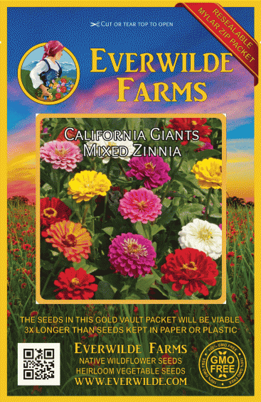 Details about   Zinnia Giant Flower Seeds Packet 1 GRAM purple red pink white yellow purple mix