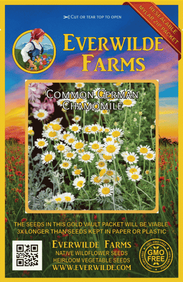 German 500 Chamomile Seeds Heirloom Herb 2021 Seeds Great for Tea! German 500 Chamomile Seeds Heirloom Herb 2021 Seeds Great for Tea!