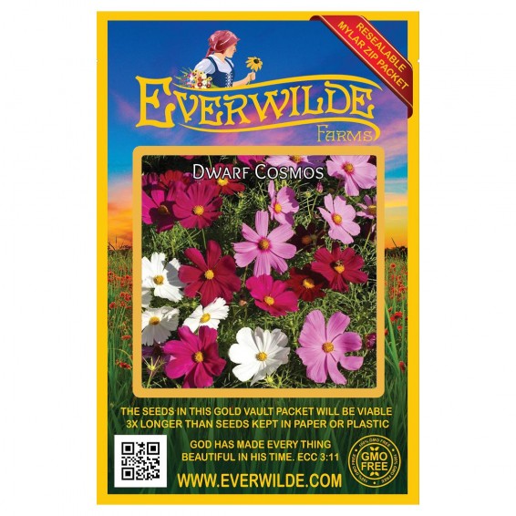 Dwarf Cosmos Flower Seeds | Dwarf Cosmos Seeds Bulk