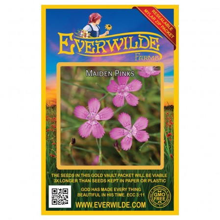 Maiden Pinks Dianthus Seeds | Pink Flower Seeds | Everwilde Farms