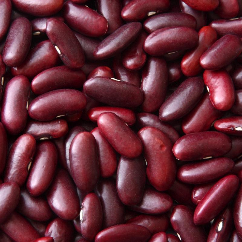 Dry Dark Red Kidney Beans Seeds