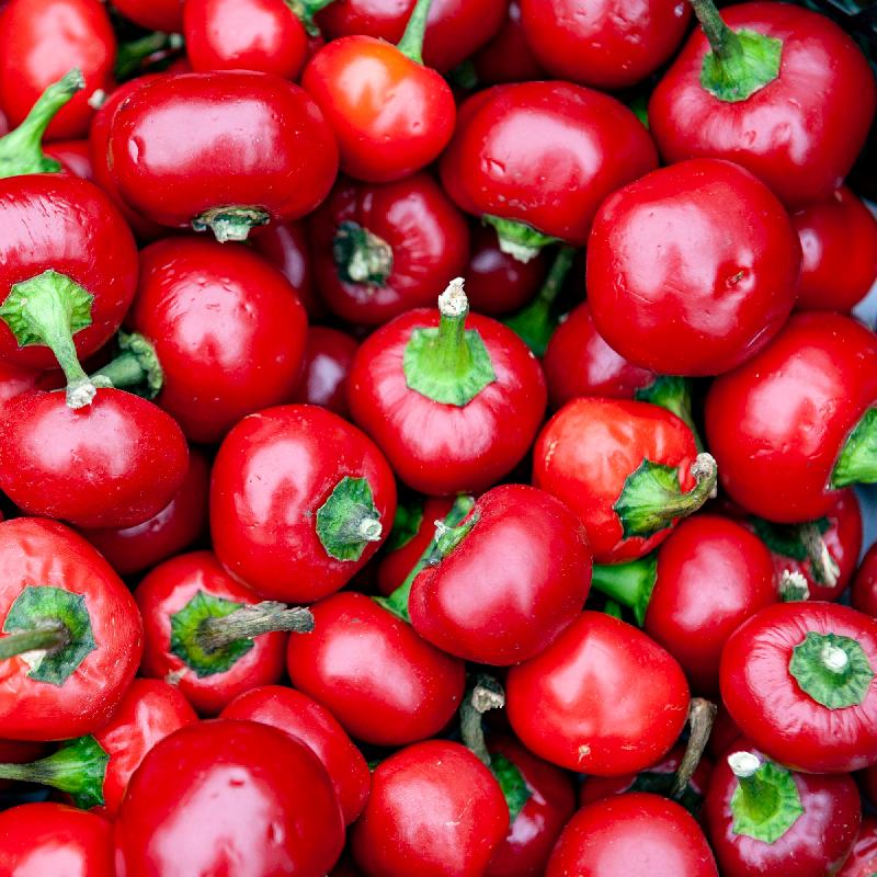 Hot Seeds - Cherry Hots'