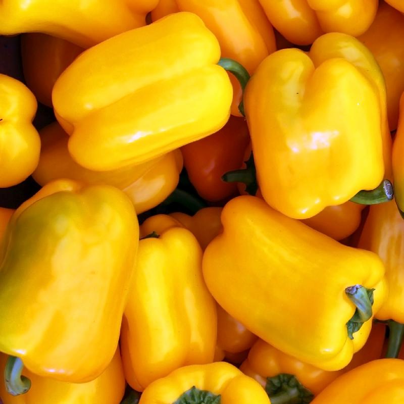 Which Bell Pepper Is Sweetest?