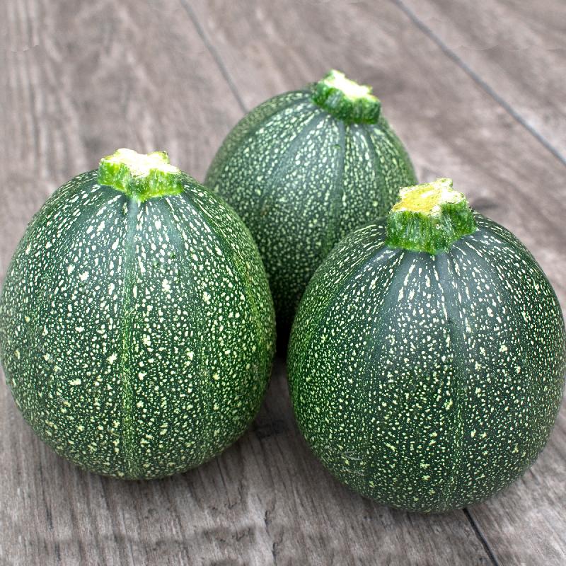 Round Zucchini Seeds | Zucchini Seeds for Planting