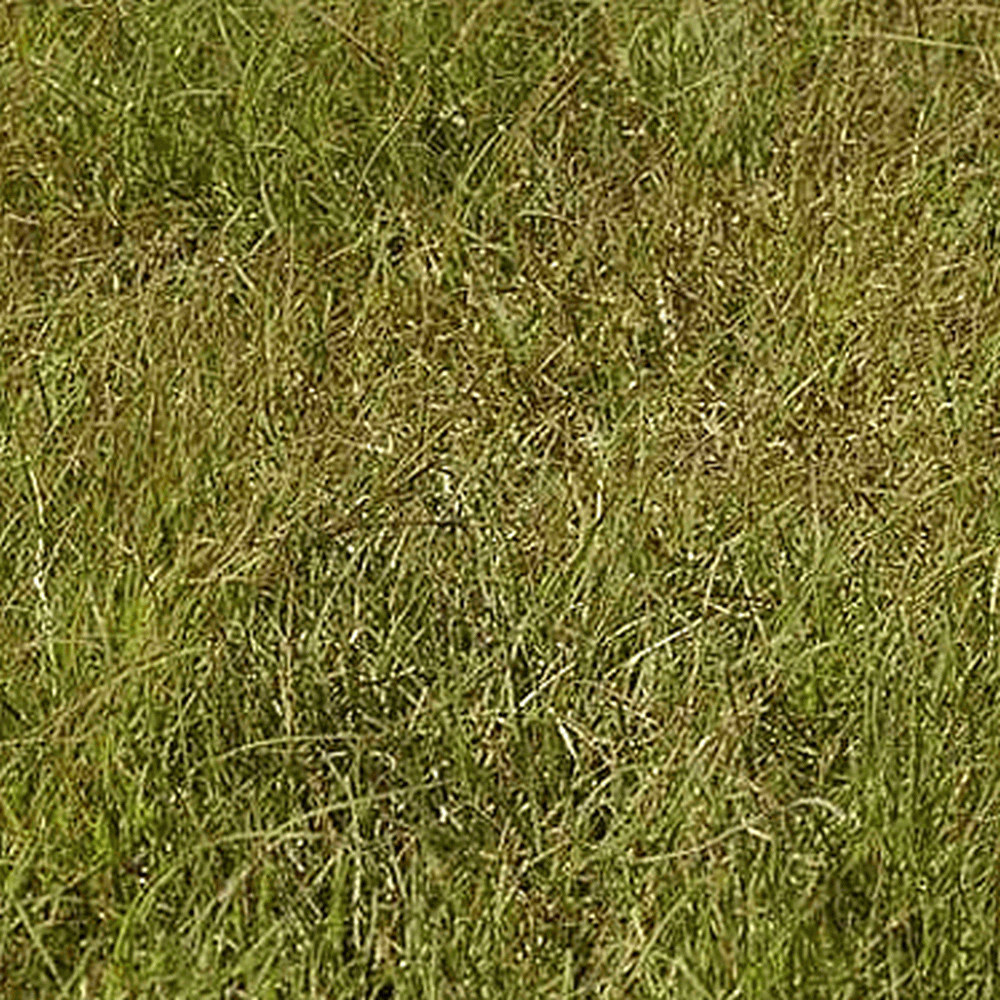 My Image 24