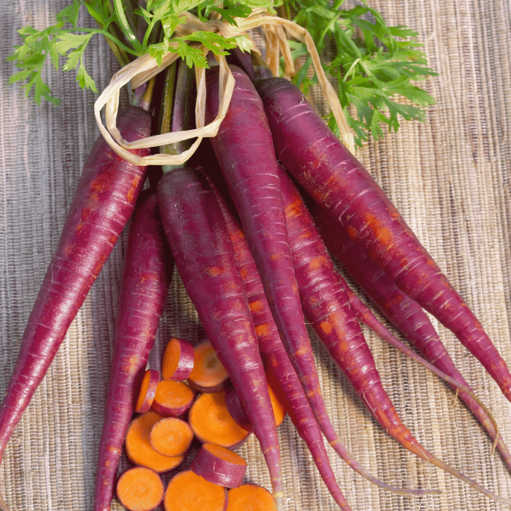 Daucus Carota Vegetable NON-GMO FREE SHIPPING Cosmic Purple Carrot Seeds 300