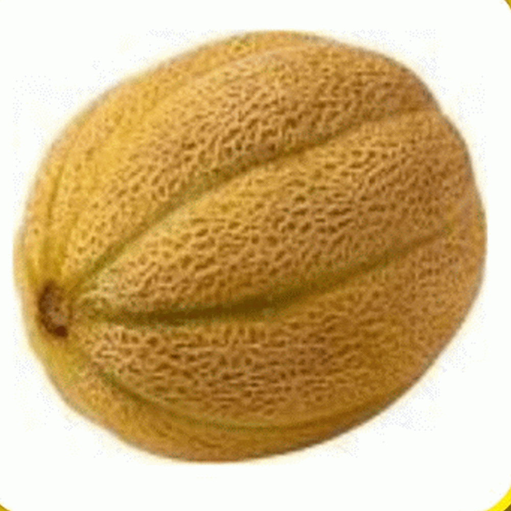 Everwilde Farms Mylar Seed Packet 1/4 Lb Honey Rock Melon Seeds 