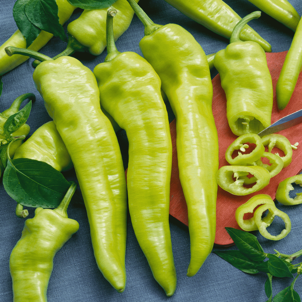 Variety Sizes Hungarian Wax Hot Pepper Seeds Hot Banana Pepper NON-GMO