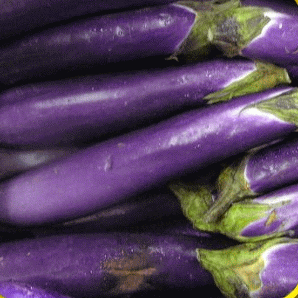 20+Seeds Chinese Eggplants Long Purple Eggplants Aubergine Asian Vegetable USA