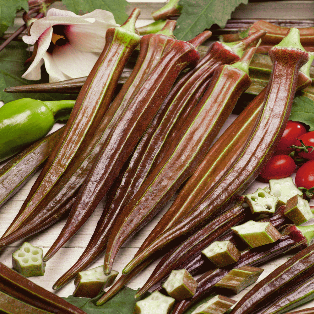 75 Red Burgundy Okra Seeds Super Prolific Healthy and Very Tasteful NON-GM