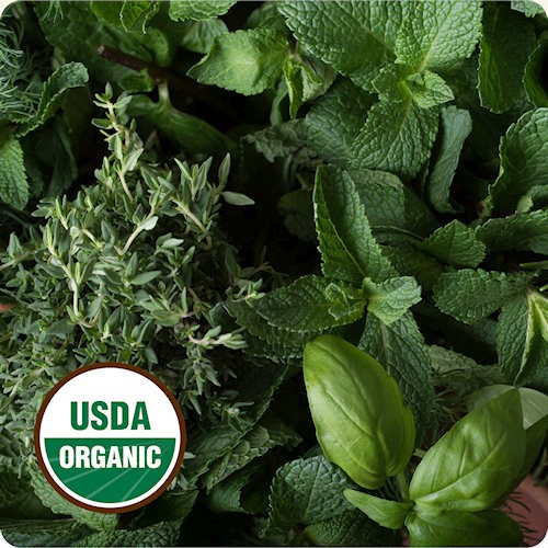 Organic Herb Seeds