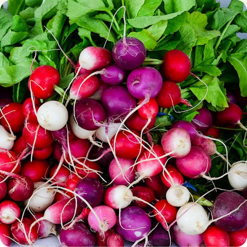 Radish Seeds