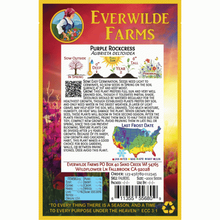 2000 Purple Rockcress Wildflower Seeds Everwilde Farms Mylar Seed Packet 