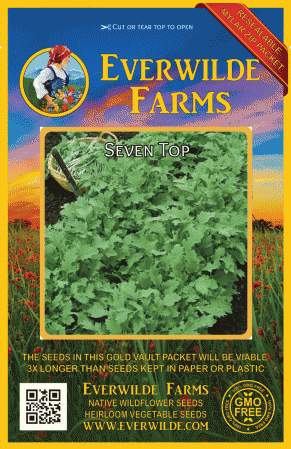 Details about   Seven Top Turnip Seeds 600 Vegetable Garden NON-GMO HEIRLOOM USA FREE SHIPPING