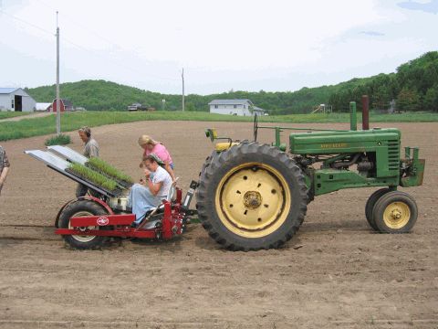 Tractor-transplanter